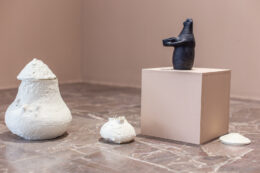 Fotografia przedstawia fragment ekspozycji, na który składają się trzy białe obiekty (2 naczynia i pokrywka) stojące bezpośrednio na podłodze galerii oraz beżowy kubik, na którym artystka ustawiła nieduży czarny obiekt. Jest to rzeźba kojarząca się z pradawnymi przedstawieniami postaci ludzkich. Wszystko stylizowane jest na pozostałości kultury pomorskiej.